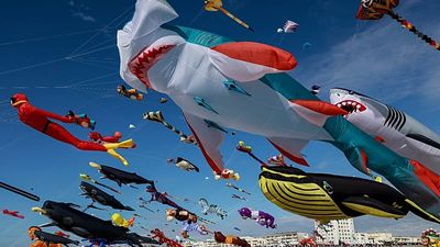World's largest kite festival fills Danish skies with 25,000 kites