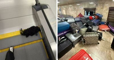 53 Airport Photos So Ridiculous They Might Make Travelers Miss Their Flights From Laughing