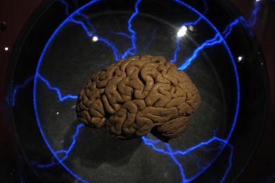 Scientists Just Reprogrammed Brain Immune Cells to Fight Alzheimer's Plaques and the Memory Results Are Striking