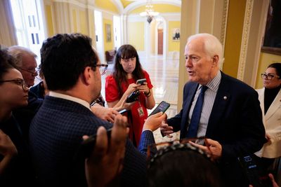 Trump ‘seems to revel in chaos’: Burned Republican senator unleashes on president