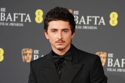 Timothee Chalamet and Selena Gomez to star in animated romantic comedy Not Alone