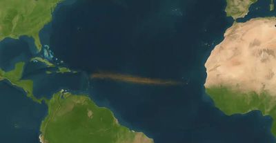 What’s behind the giant brown ribbon stretching thousands of miles across the Atlantic ocean?