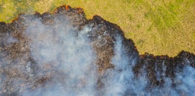 Analysing wildfire behaviour can help detect risk zones earlier and support fire-smart strategies