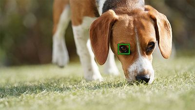 I’m an AI-exhausted photographer - but the number of non-artists that are annoyed with AI gives me hope!