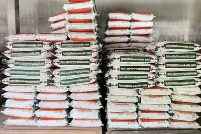 Fertiliser prices set to fall as Mideast shipments resume