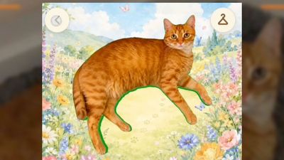 CatchCat is a Pokémon Go-like with cats that might break the Internet, but it’s a huge missed opportunity