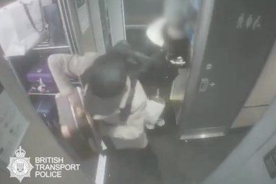 Moment brazen luggage thief who stole bags from unsuspecting passengers caught on CCTV