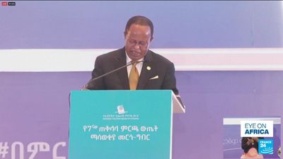 Ethiopian PM's party secures win in national election