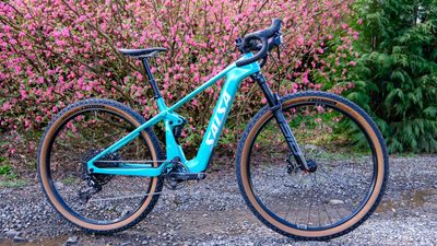 The Salsa Wanderosa review: I misunderstood this bike completely