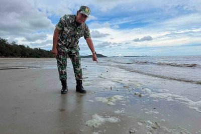 Algae bloom turned seawater dark green
