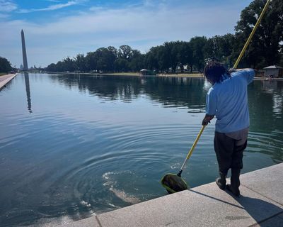 Reflecting pool to be drained again as Trump claims five vandalism arrests