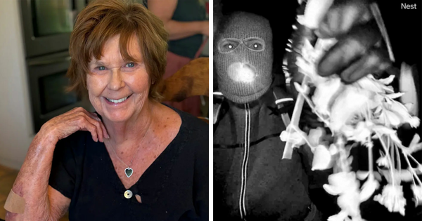 Report Reveals Nancy Guthrie Ransom Note That Apologized For Her Tragic Passing