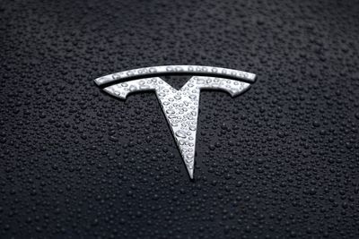 Lifeguard rescues man who accidentally drove his Tesla into a community pool