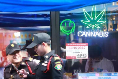 Penalty guidelines set for cannabis business offences