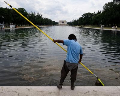 Trump news at a glance: president’s pool project plagued by peeling paint – and algae blooms