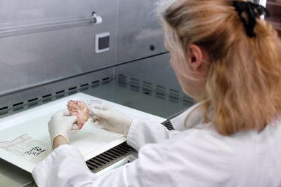 Baylor College of Medicine Scientists Find Tubulin Protein Prevents Tau and Alpha-Synuclein Clumping in Alzheimer's and Parkinson's