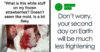 107 Burns So Hilariously Savage, People Needed A Doctor After