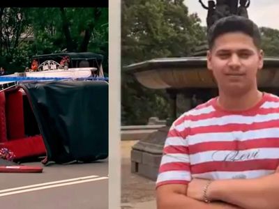 Bill seeking to ban horse carriages in NYC renamed after Indian teen killed in Central Park incident