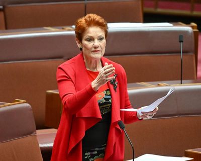 Pauline Hanson says parental leave will force small businesses to ‘fold’ – despite no law forcing employers to pay