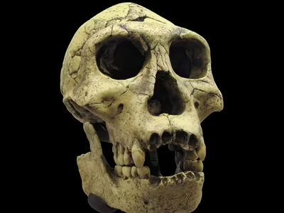 Did a casual stroll lead to one of archaeology's greatest finds? The truth behind the viral claim