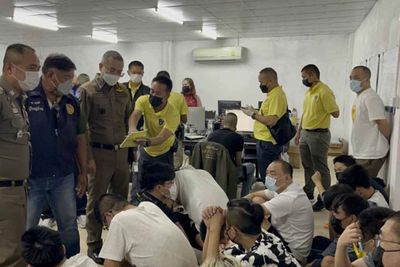 Don't describe criminals as 'grey Chinese', it stigmatises us all, says ambassador