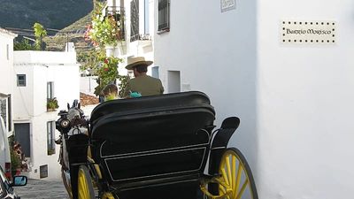 Seven injured, including two children, after vehicle mounts bar terrace in Malaga