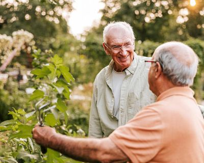 I could listen to gardeners chat for hours. It always sounds like they’re up to no good