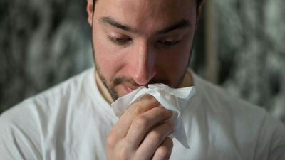 Les allergies respiratoires : une personne sur deux concernée d’ici 2050?
