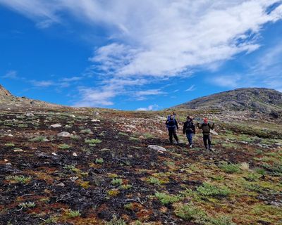 Scientists alarmed after two wildfires hit Greenland within a week