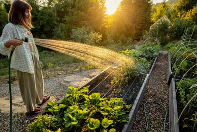 ‘Lawns don’t need watering!’ How to garden in a heatwave, from recycling bathwater to making the most of shade