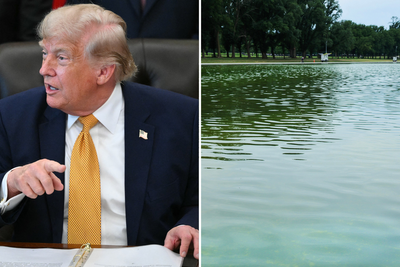 Trump claims vandals slashed Reflecting Pool surface he boasted was knife-proof