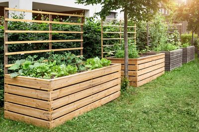 Why Raised Garden Beds Are Becoming a Backyard Status Symbol