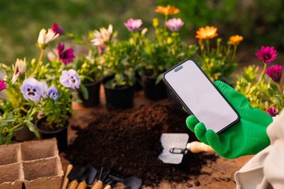 Why Gardening Content Is Suddenly Dominating Social Media Again