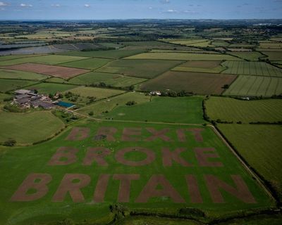 Assault on facts and truth led to Brexit