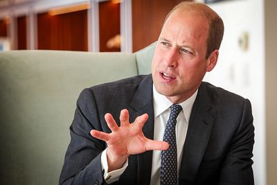 Prince Harry Heartbreak: Prince William Reportedly Rebels Against King Charles' Handling of His Brother's Shocking UK Return