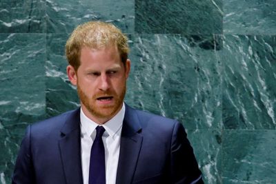 Royal Insider Shuts Down Hopes of a Prince Harry, Prince William Reunion Next Month