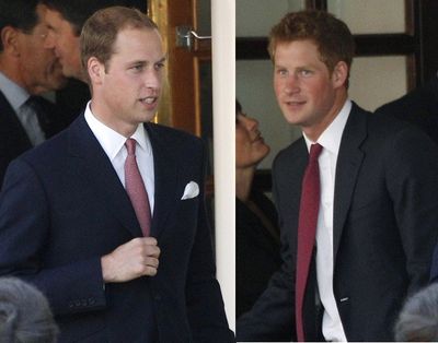 'Vindictive and Cruel': Prince Harry Claims Brother William Is 'Drooling Over Power' and Unfit to Be King