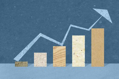 Investor Shannon Saccocia Talks Oil Prices, Opportunities and Stock Outlook for 2026