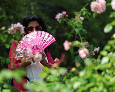 The Guardian view on extreme heat: as risks escalate, adaptation plans are dangerously lagging