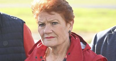 Pauline Hanson taking policy advice from Gina Rinehart is a red flag for voters