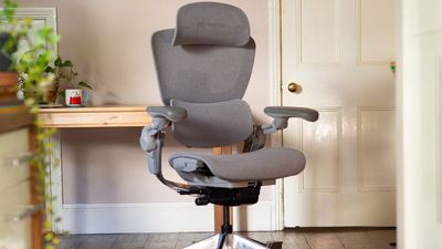 This office chair packs 19 points of adjustability and looks a bit like a crab