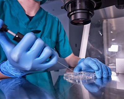 Most IVF ‘add-on’ treatments have no effect on fertility or remain unproven, study says