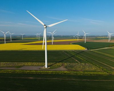 Weakening UK net zero policy would damage economy, chief climate adviser says