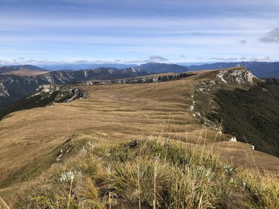 Luxon offers to change bill after conservation land sale backlash