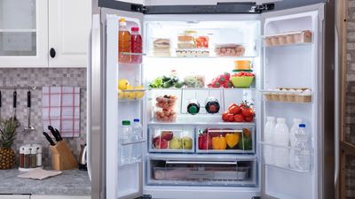 Beat the heat: How to stop your fridge from overheating this summer