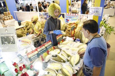 Thailand under no pressure to raise rates, finance official says