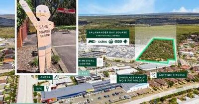 'Caution' over last-ditch effort to preserve Mambo wetlands' buffer zone