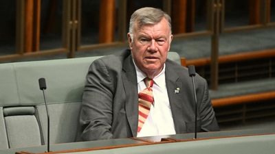 Newest One Nation MP owns up to voting the wrong way