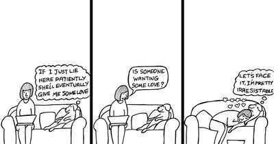 30 Hilarious Dog Cartoons By Rupert Fawcett That Nail Every Dog Behavior We Know Too Well (New Pics)