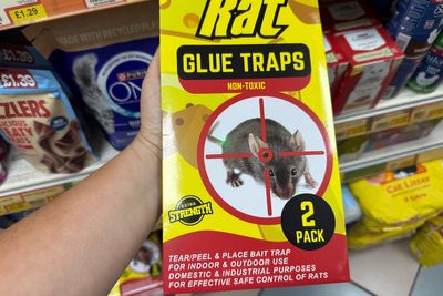 People using pest control glue traps face up to a year in prison